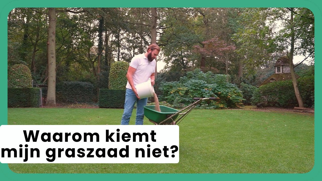 Waarom Kiemt Mijn Graszaad Niet?