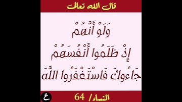 سورة النساء / عبدالرحيم الشيزاوي