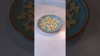 【犬注意】ばあばの犬とお友達になりました