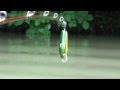 DAB　--センチネル90--