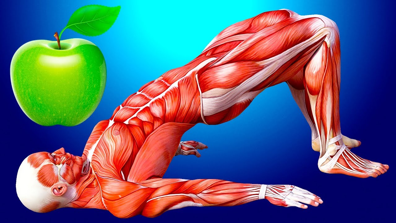 毎日リンゴ1つを食べて体の変化を見てみよう