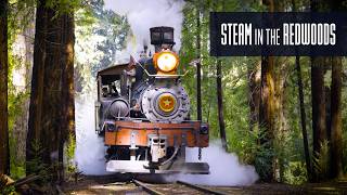 Steam Train in the Redwood Forest: Roaring Camp Railroad