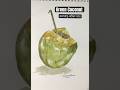 Green Coconut with Watercolor | জলরঙে আঁকা ডাব | #realistic #realisticart #watercolor #easyartvideo