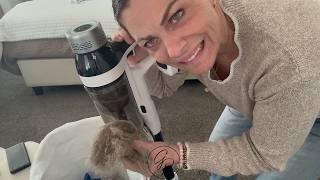 Amazon Home Cordless Vacuum Cleaner I Tested This Vacuum On Pet Hair Wow