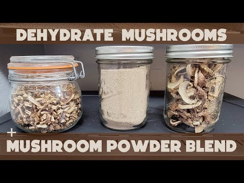 Dehydrating Mushrooms, Making Mushroom Powder | Sahara Folding