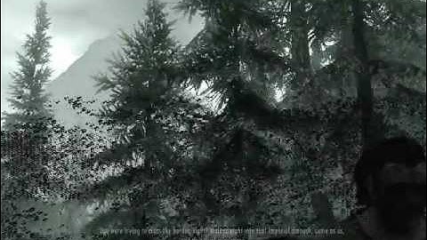 Skyrim Graphic Problem