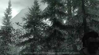 Skyrim Graphic Problem
