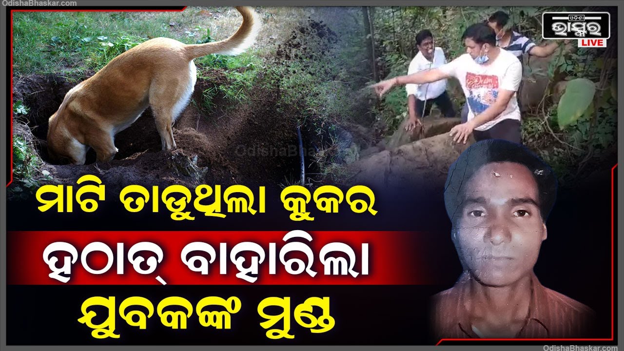 ମାଟି ତାଡୁଥିଲା କୁକୁର, ହଠାତ୍ ମାଟି ତଳୁ ବାହାରିଲା ଯୁବକଙ୍କର... ସମସ୍ତେ ଦେଖି ହୋଇଗଲେ କାବା