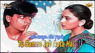 Tu Samne Jab Aata Hai | Sonic Jhankar | Alka Yagnik | Udit Narayan | Anjaam (1994) | Geet Mahal