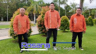 ROSANA
