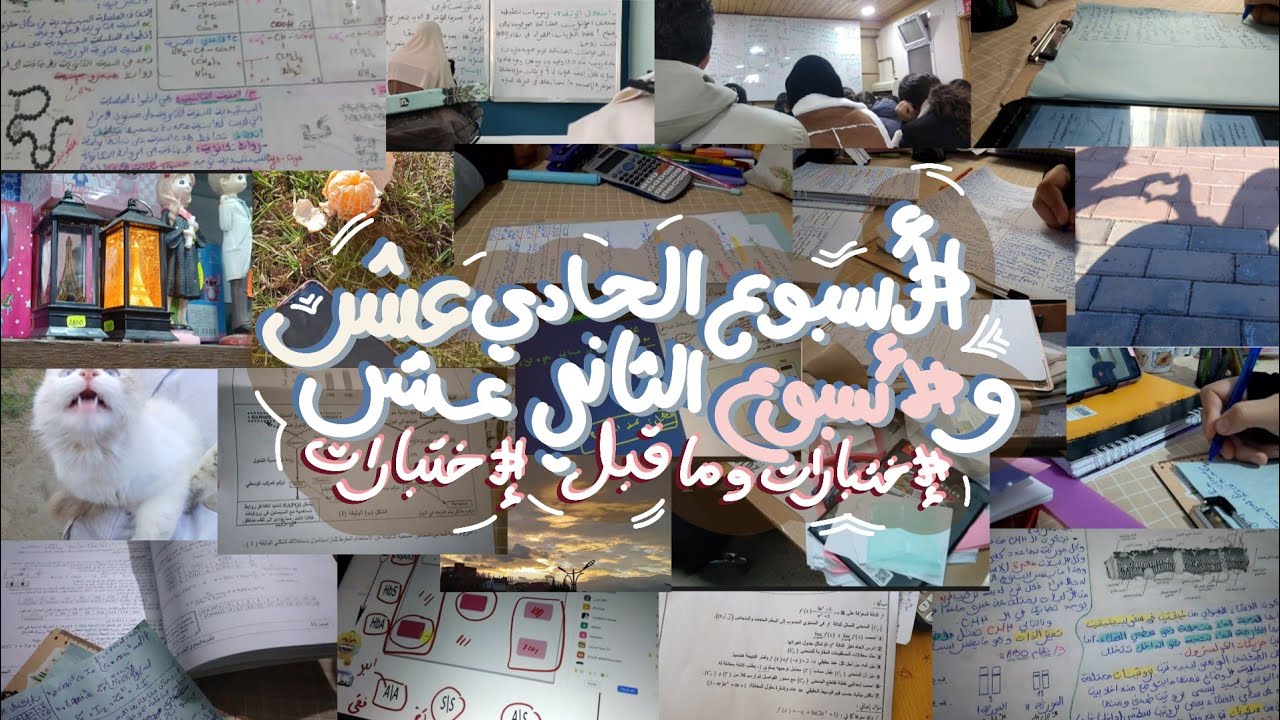 أسبوعي الاختبار وما قبل الاختبار | مذكرات طالبة بكالوريا 2026 🌷🤍