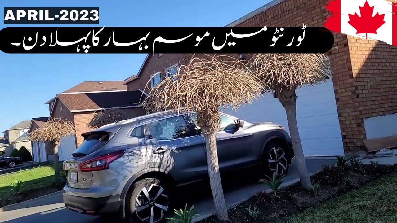 Canada Mey Spring Ka Mausam Shro Ho Raha Hey Spring in Toronto YouTube