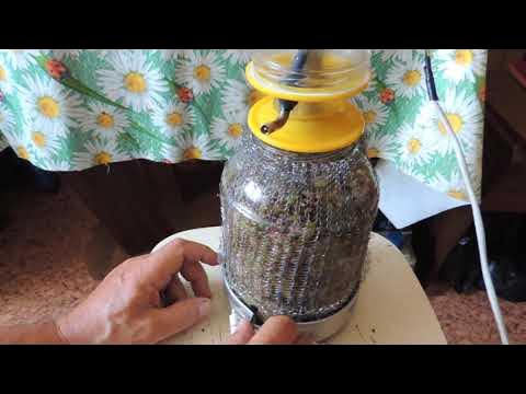 Аппарат для форвакуумной низкотемпературной дистилляции эфирных масел и ...