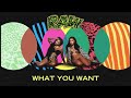 City Girls - What You Want (Official Audio)