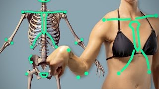 Landmarks: Key to Successful Anatomy Drawings - Arm Critiques