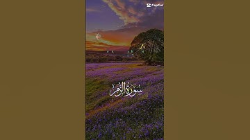 قرآن كريم سورة الزمر #قرآن #فريده_ديدا #دينيه #ديني #آيات _قرآنيه _قصيره