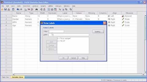 1.3b Define Variable: PASW (SPSS) Statistics v.17 video