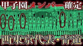 【ダイヤのAact2】青道•甲子園ベンチ入り『18名確定』※なぜ『あの選手』をメンバー外にしたのか？