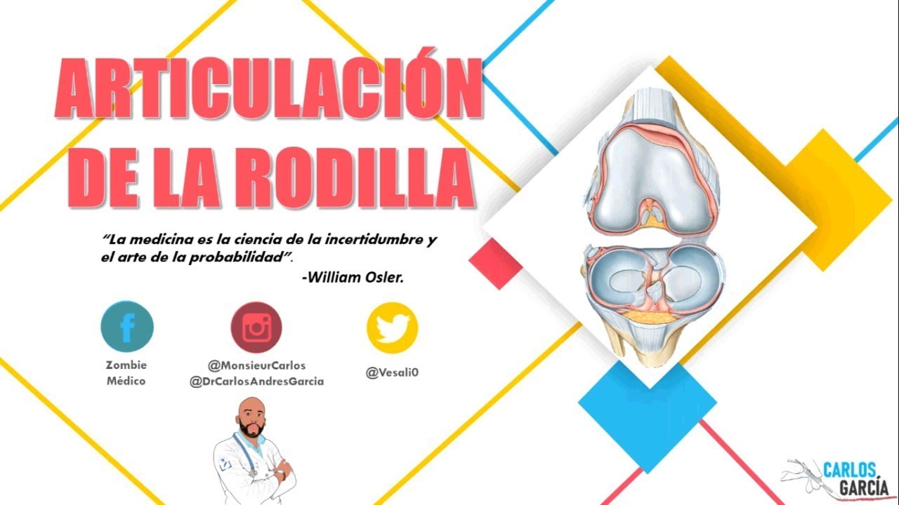 Anatomía - Articulación de la Rodilla (Medios de Unión, Ligamentos, Vasos y Nervios) garcía lópez de cárdenas