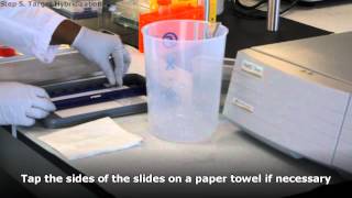 Target Probe Hybridization