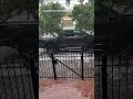 Hail falls in Uptown New Orleans
