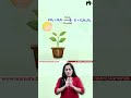 Cornelius van Niel’s demonstration on Photosynthesis | One shot with Roshni Mam #conceptcrystalclear