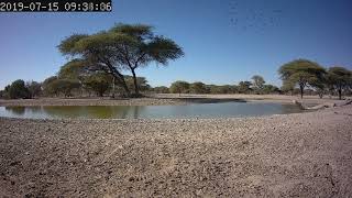 Time lapse of a water hole in Africa