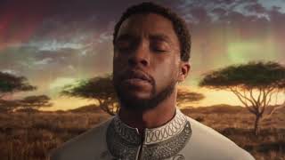 Meditation Music Compilation: Tribute to Chadwick Boseman - Calming Stress Relief Deep Sleep screenshot 5