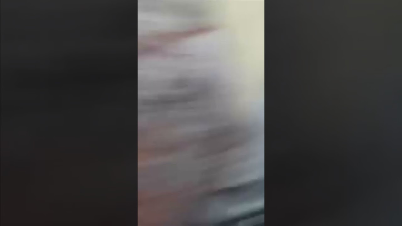 Bunny vlogs heeft alles gefilmd en belt nu de politie!!! 