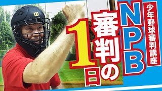 「少年野球審判講座」NPB審判の1日