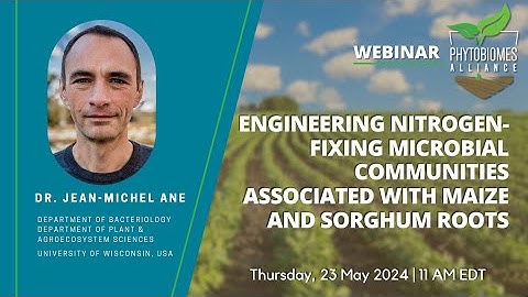 Engineering nitrogen-fixing microbial communities associated with maize and sorghum roots