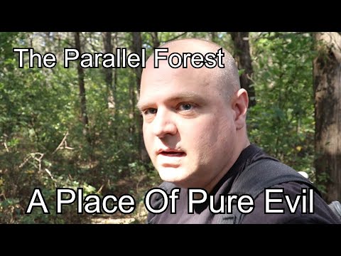 Video: A Hut In A Parallel Forest - Alternative View