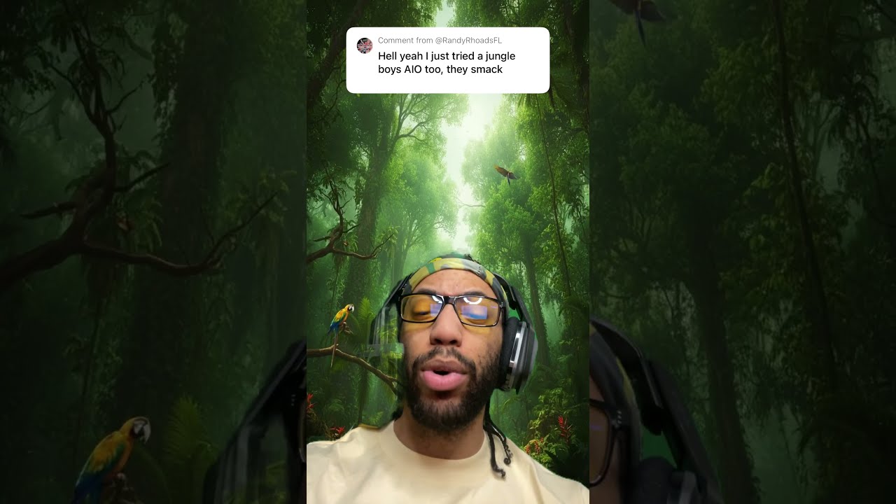 Have You Tried Jungle Boys AIO 