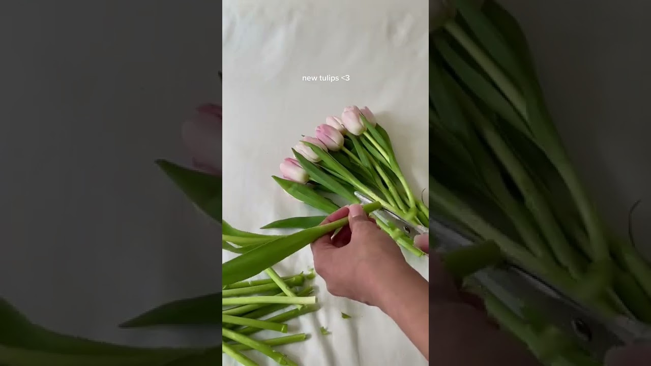 pretty pink tulips in my new vase from ikea💌 