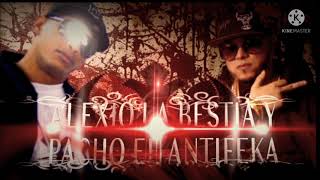 ALEXIO LA BESTIA FT PACHO EL ANTIFEKA ★REGGAETON MALIANTEO 2019★