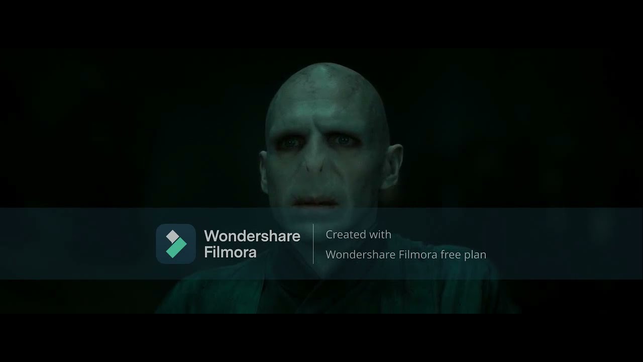 Voldemort killed Harry Potter