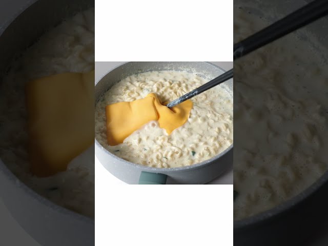 사리곰탕 파스타
