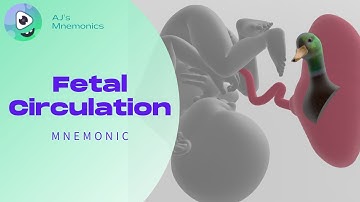 Fetal Circulation: FUN, SIMPLE, and MEMORABLE!