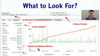 How to Select a Forex Signals Provider Using MyFxBook