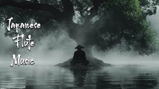 Quietude of the Mind - Japanese Flute Music For Meditation, Healing, Deep Sleep, Soothing by Ambient With Flute 26,476 views 1 month ago 8 hours