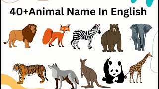 Animal Name In English|Learn Animals Name in English|Animals Name Basic English Learning