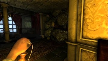 Amnesia: Playthrough Part: 3 - First encounter with the bro