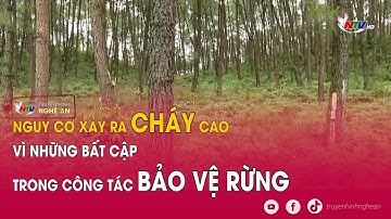 Nguy cơ xảy ra cháy cao vì những bất cập trong công tác bảo vệ rừng