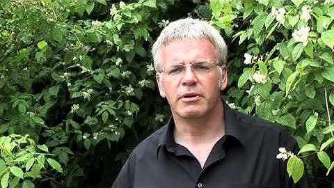 Ask Your Existing Clients for Referrals -- Sales and Marketing Advice for Small Business Owners