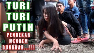 Download lagu Turi turi Putih Pendekar Mendem Dungkar 1 Ebeg Wahyu Langen Sari Turi turi Putih Pendekar Mendem Dungkar 1 Ebeg Wahyu Langen Sari