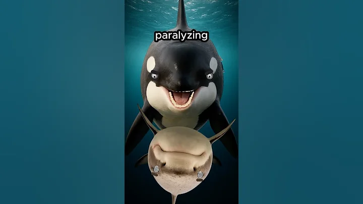 Orcas Are Disturbing...