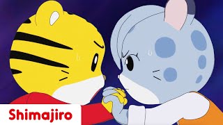 A Funny Fight 🥊 | Friendship | 24 Minute Compilation | Kids video for Kids | Shimajiro