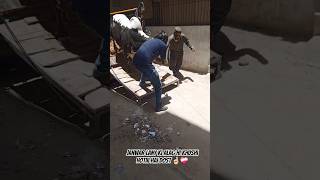 Janwar Lany Ki Alag Hi Khushi Hotiii Hai Dost 🤞🏻❤️‍🩹 #dalfacattleshow #bakraeid #cowlover #cattle