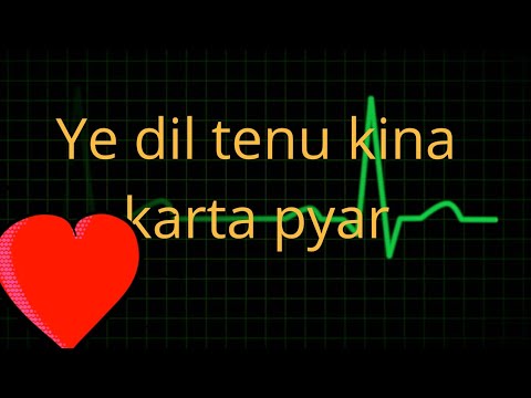 NI dil tenu kina karta pyarfull song DJ REMIX