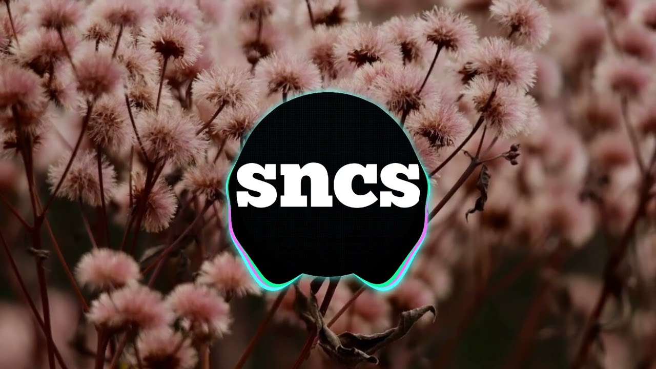 Maso & Xafknjj -Xadyjo - (sncs song) - no copyright music 